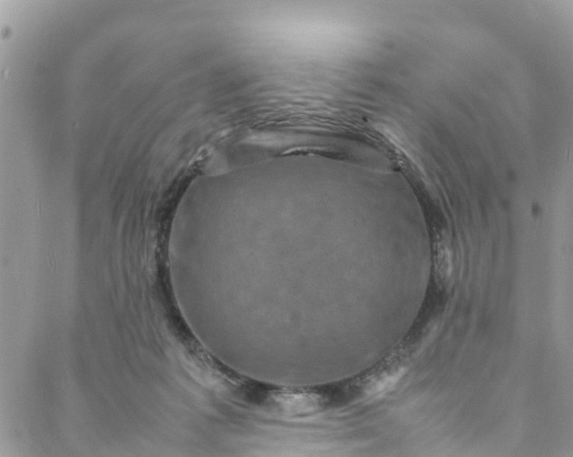 X0000088030221200705251124