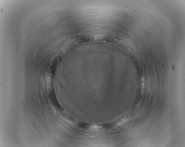 X0000088030222200705251124