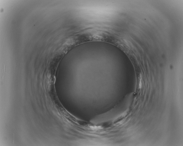 X0000088030223200705251124