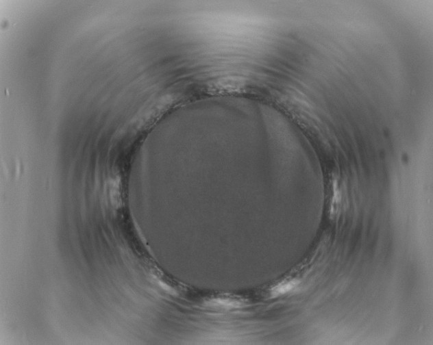 X0000088030224200705251124