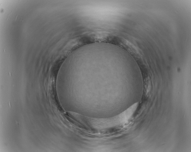 X0000088030225200705251124