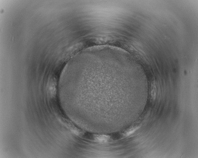 X0000088030226200705251124