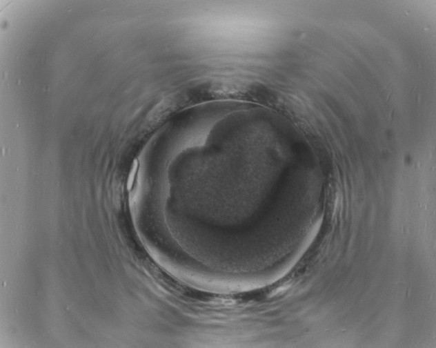 X0000088030227200705251124