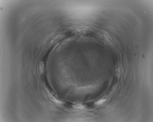 X0000088030231200705251124