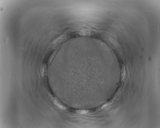 X0000088030233200705251124