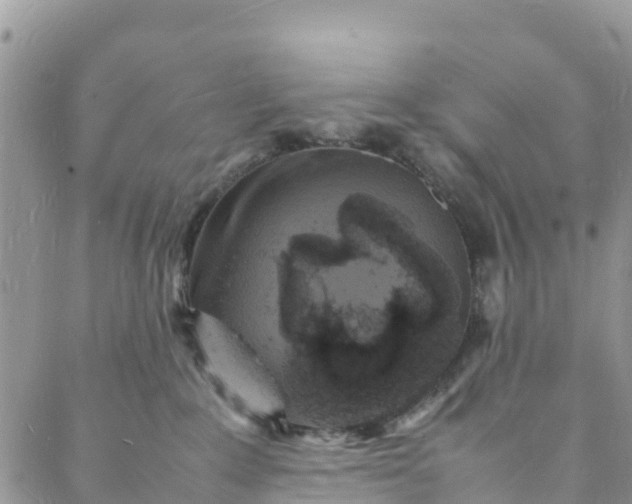 X0000088030235200705251124