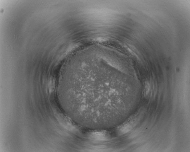 X0000088030236200705251124