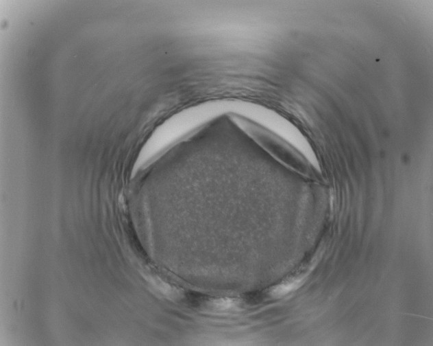 X0000088030237200705251124