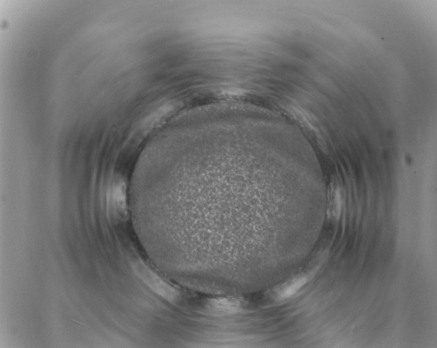 X0000088030238200705251124