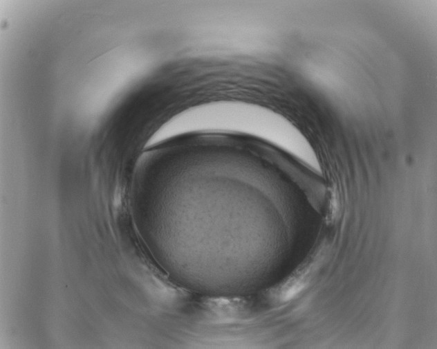 X0000088030239200705251124