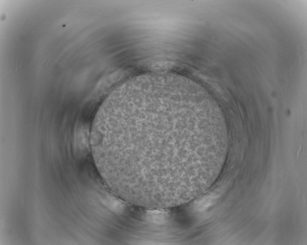 X0000088030240200705251124