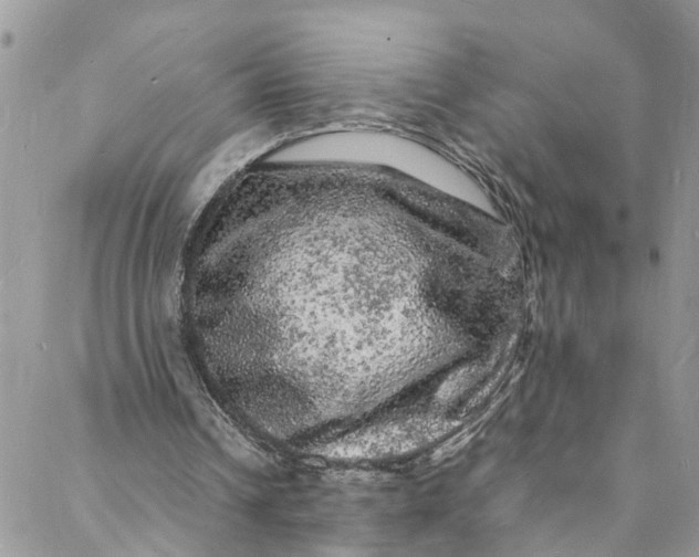 X0000088030242200705251123