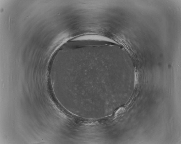 X0000088030243200705251123