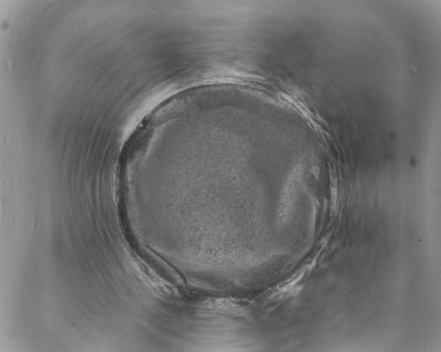 X0000088030244200705251123