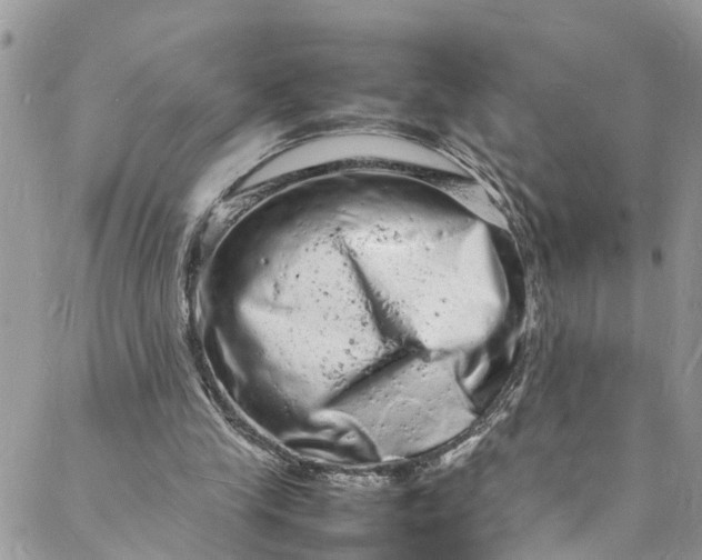 X0000088030245200705251123