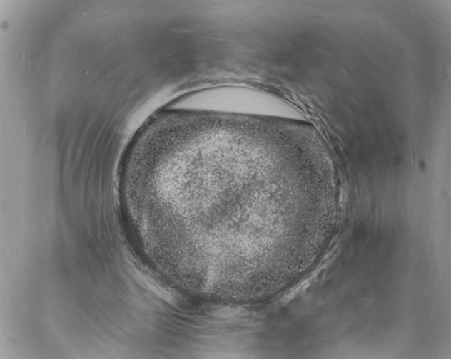 X0000088030246200705251123