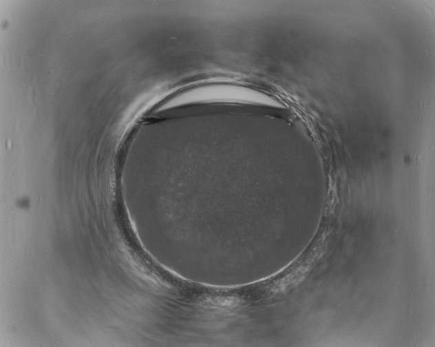 X0000088030247200705251123