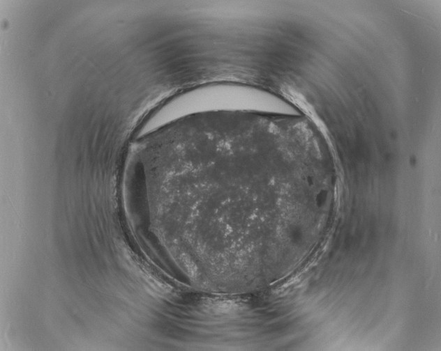 X0000088030249200705251123