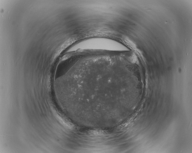 X0000088030250200705251123