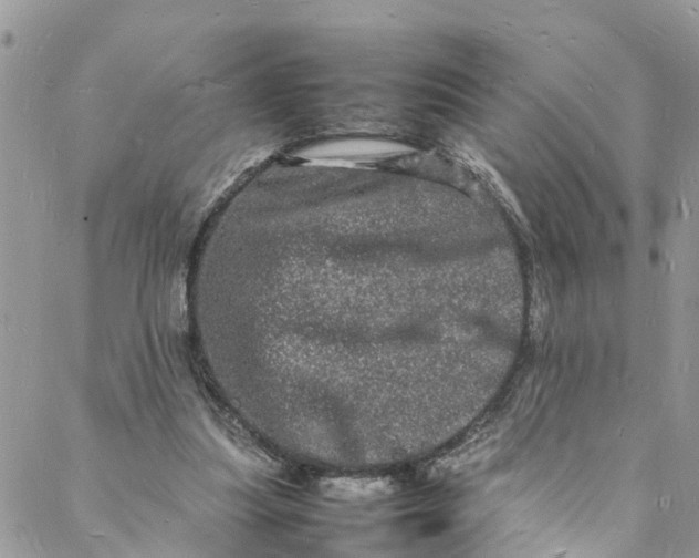 X0000088030251200705251123