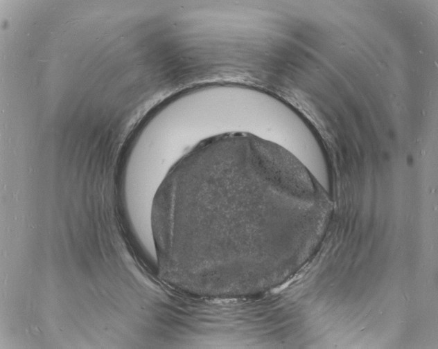 X0000088030252200705251123