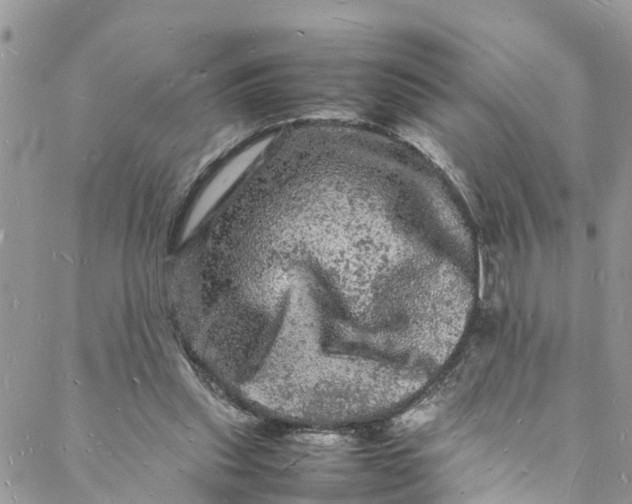 X0000088030253200705251123