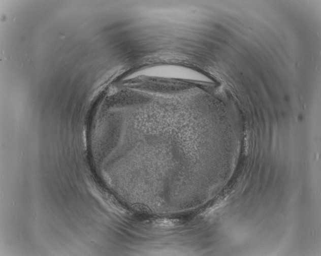 X0000088030254200705251123