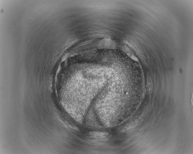 X0000088030255200705251124