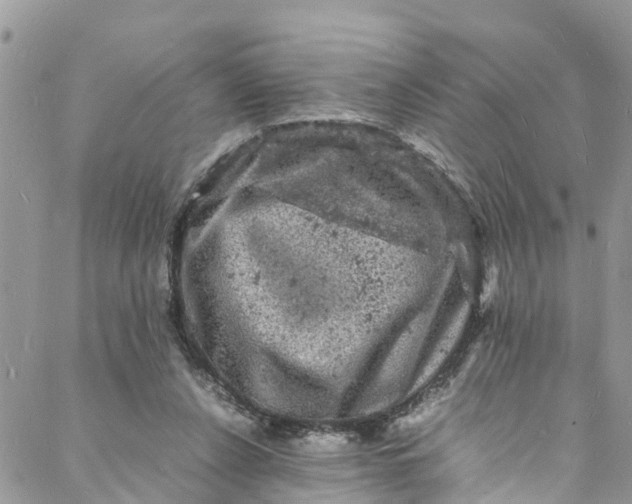 X0000088030256200705251124