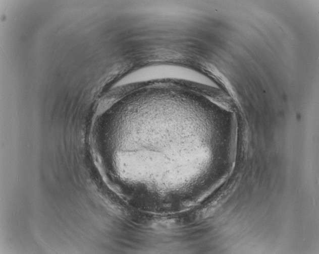 X0000088030257200705251124