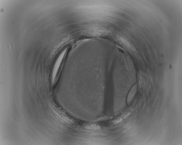 X0000088030258200705251124