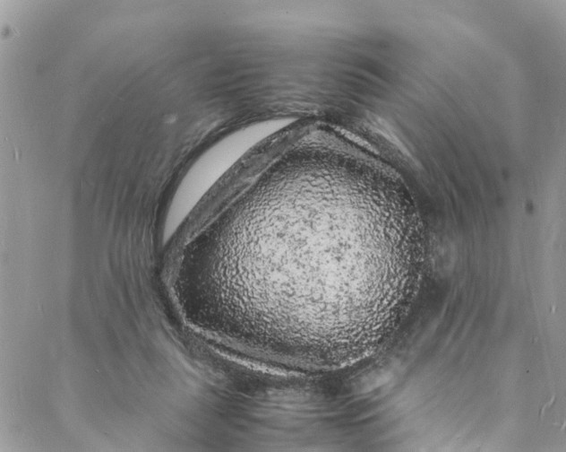 X0000088030259200705251124