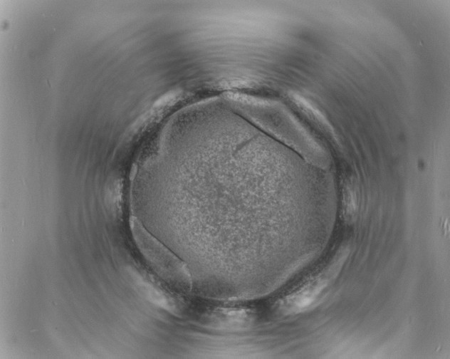 X0000088030260200705251124