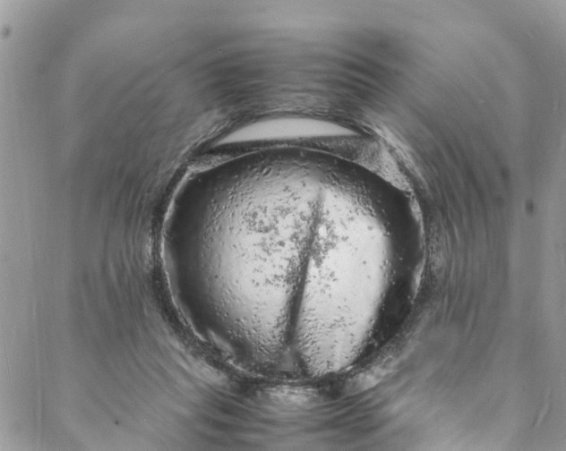 X0000088030261200705251124