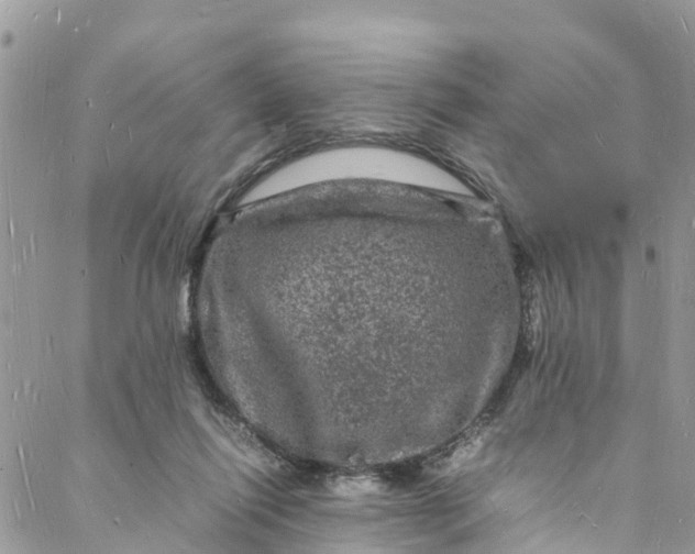 X0000088030262200705251124