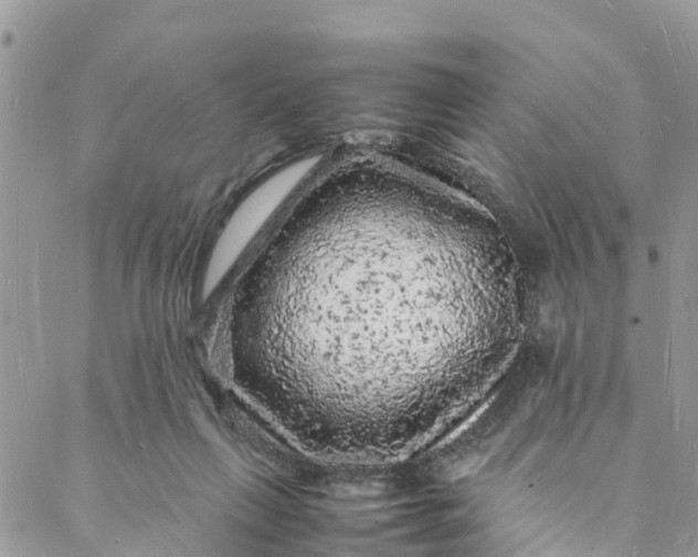 X0000088030263200705251124