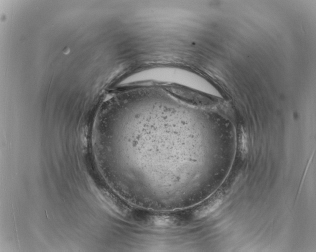 X0000088030264200705251124