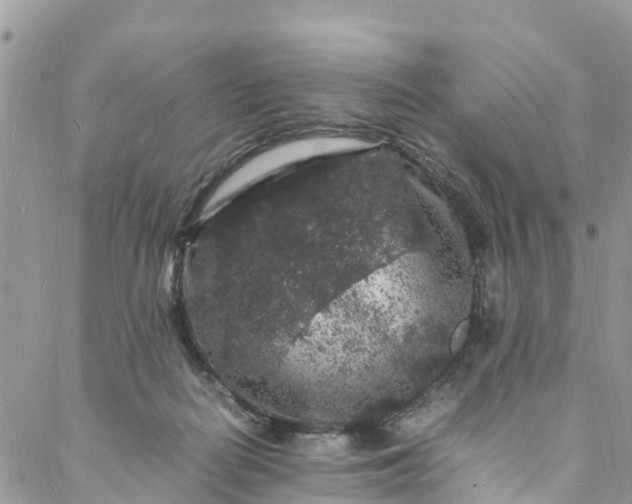 X0000088030266200705251124