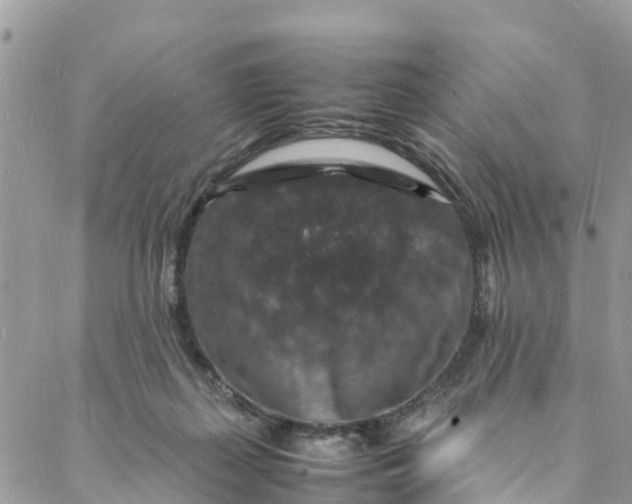 X0000088030267200705251124