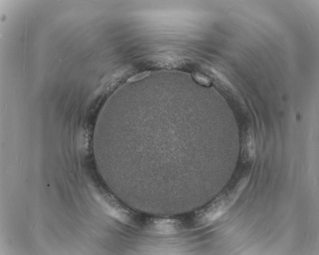 X0000088030268200705251124