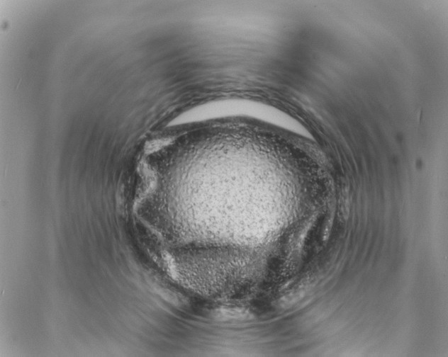 X0000088030270200705251124