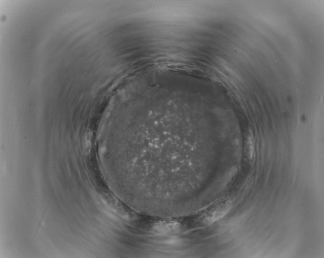 X0000088030271200705251124