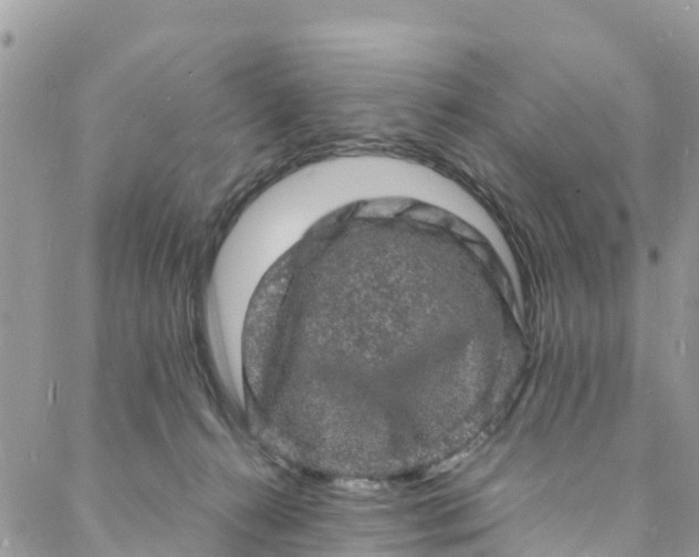 X0000088030272200705251124