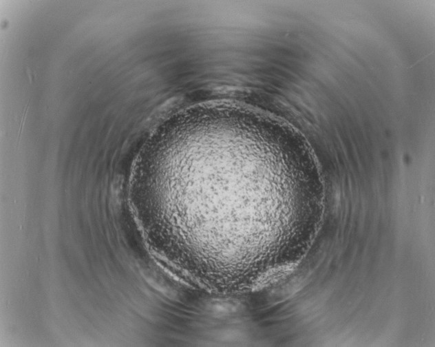 X0000088030275200705251124