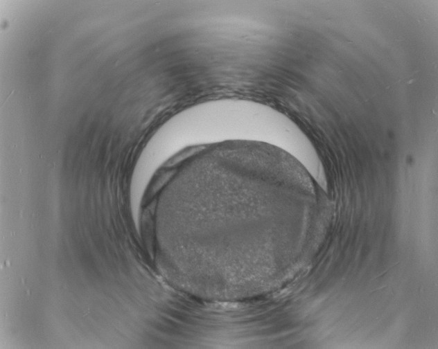 X0000088030276200705251124