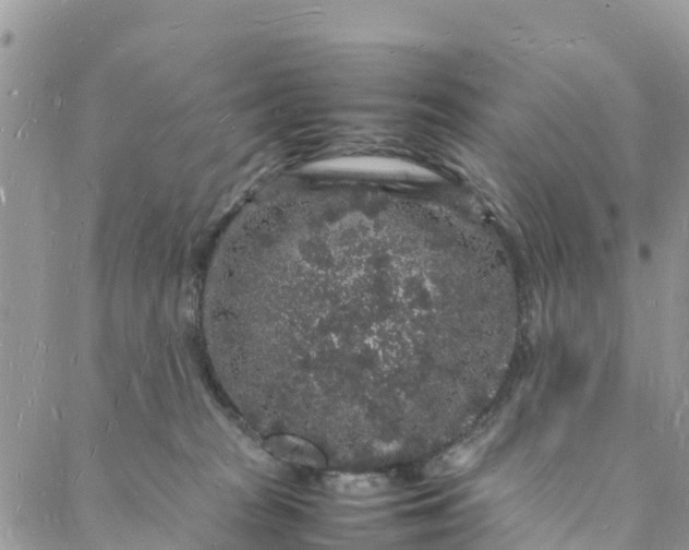 X0000088030277200705251124