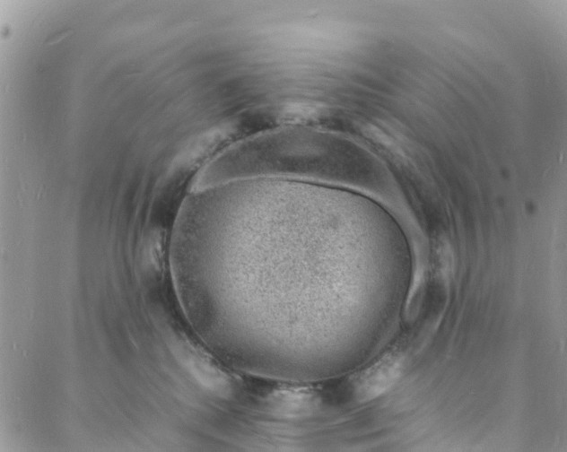 X0000088030280200705251124