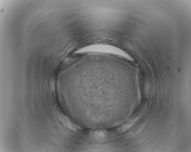 X0000088030282200705251124