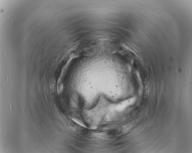 X0000088030283200705251124