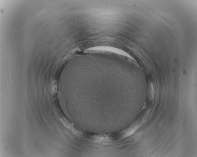 X0000088030284200705251124